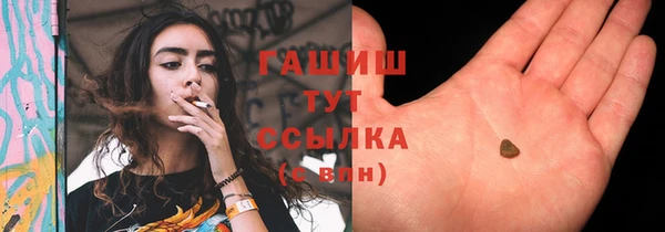 шишки Баксан