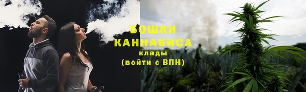шишки Баксан