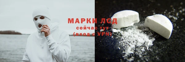 шишки Баксан